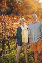 Senior couple, holding hands and walking in outdoor for love, romance and relax in vineyard or nature. Elderly people, speaking and laugh together on vacation, holiday and retirement for marriage