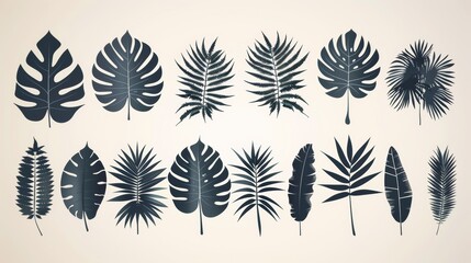 Collection of jungle foliage moderns. Set of monochrome jungle exotic leaf silhouettes, palm leaves, banana leaves, Royal fern, areca palm, and Philodendron.