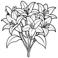 Lily flower outline coloring book page line art drawing vector illustration for children and adults