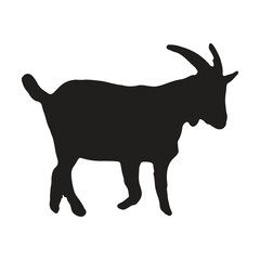 black goat with silhouette, white background