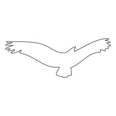 silhouette of a bird