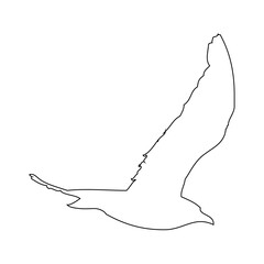 illustration of a feather