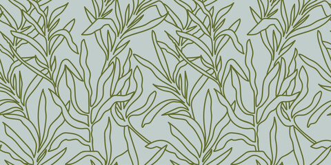 Tarragon seamless pattern. Linear Floral ornament with hand drawn aromatic garden herbs, leaves outline print. Vintage botanical vector illustration