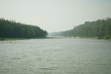 A beautiful, calm lake in between dense tree on both sides, with a clear sky up above.