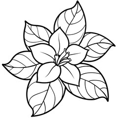 Jasmine flower outline coloring book page line art drawing vector illustration for children and adults