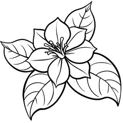 Jasmine flower outline coloring book page line art drawing vector illustration for children and adults