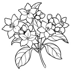 Jasmine flower outline coloring book page line art drawing vector illustration for children and adults