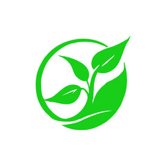 green leaf  vector icons, leaf logo design