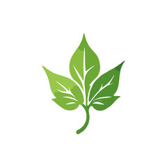 green leaf  vector icons, leaf logo design