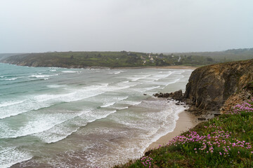 Tapis d'arméries maritimes en fleurs sur les hauteurs des falaises, offrant une vue sur la mer d'Iroise, ses eaux bleues et son écume blanche sous un ciel couvert.