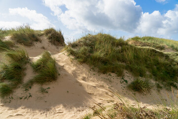 Dunes de sable ondulantes bordées de hautes herbes, créant un paysage naturellement préservé autour de la plage de Lostmarc'h, sur la presqu'île de Crozon.