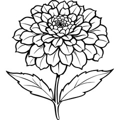 Marigold flower outline coloring book page line art drawing vector illustration for children and adults