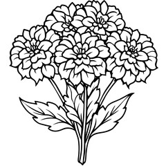 Marigold flower outline coloring book page line art drawing vector illustration for children and adults