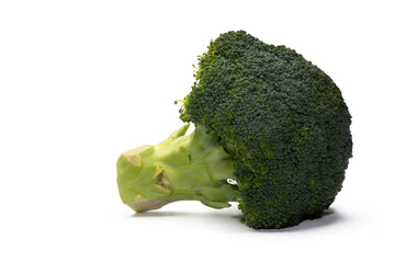 one broccoli isolated, png file