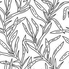 Tarragon leaf seamless pattern. Linear Floral ornament with hand drawn aromatic garden herbs, leaves outline print. Monochrome Vintage botanical vector illustration