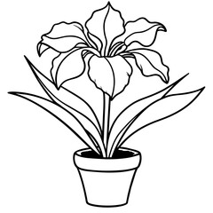 Iris flower outline coloring book page line art drawing vector illustration for children and adults
