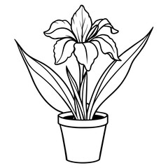 Iris flower outline coloring book page line art drawing vector illustration for children and adults