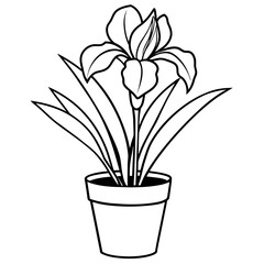 Iris flower outline coloring book page line art drawing vector illustration for children and adults