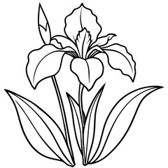 Iris flower outline coloring book page line art drawing vector illustration for children and adults