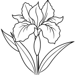 Iris flower outline coloring book page line art drawing vector illustration for children and adults