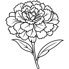 Carnation flower outline coloring book page line art drawing vector illustration for children and adults