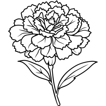 recommend clip art: Carnation flower outline coloring book page line art drawing vector illustration for children and adults
