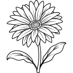 Gerbera flower outline coloring book page line art drawing vector illustration for children and adults