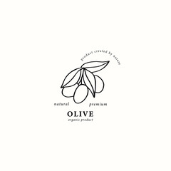 Line art olive branch logo