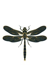 Dragonfly logo illustration on white background. Emblem, icon for company or sport team branding