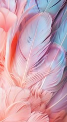 Feathers Floating in the Air