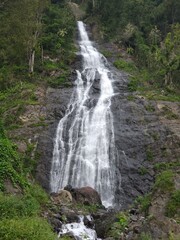 Cascade