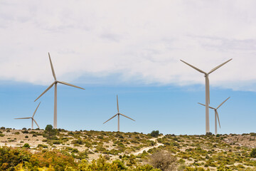 Wind turbine plant, power generator