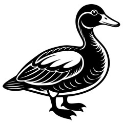 a-duck--white-background-only-3-colors--silhouette