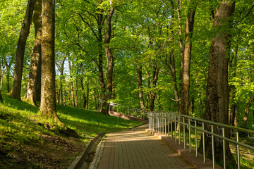 Bright spring in Gomel park. Sun, flowers, alleys in flower beds in a city park.