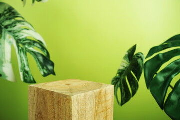 Wooden podium display scene stage showcase front view with copy space and monstera leaves decoration on green background