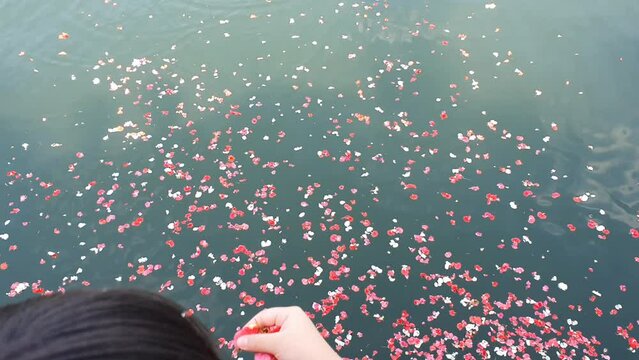 Performing a seaside ritual with scattering flowers at sea