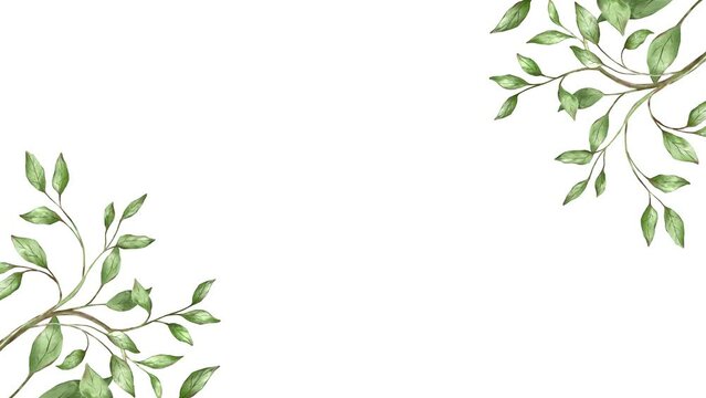 Watercolor leaves background animation groing moving minimal decoration botanical ecological cosmetic wedding invitation spring summer plants