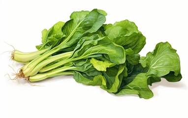 Turnip Greens on a Clean Slate