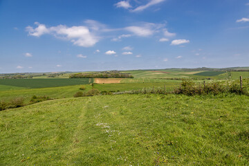Looking out over fields in the South Downs near Falmer, with a blue sky overhead