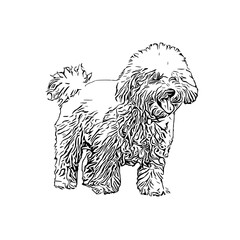 sketch of a dog with a transparent background