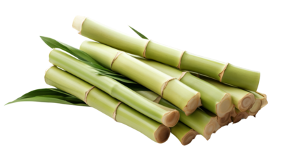 Fresh sugar cane isolated on white background