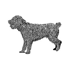 sketch of a dog with a transparent background