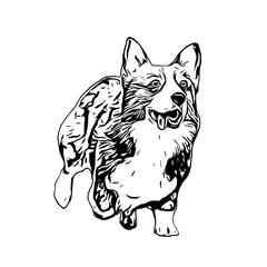 sketch of a dog with a transparent background