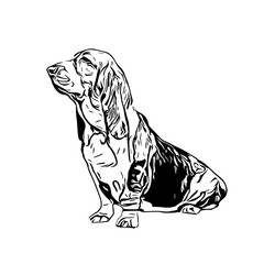 sketch of a dog with a transparent background