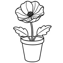 Poppy flower outline coloring book page line art drawing vector illustration for children and adults