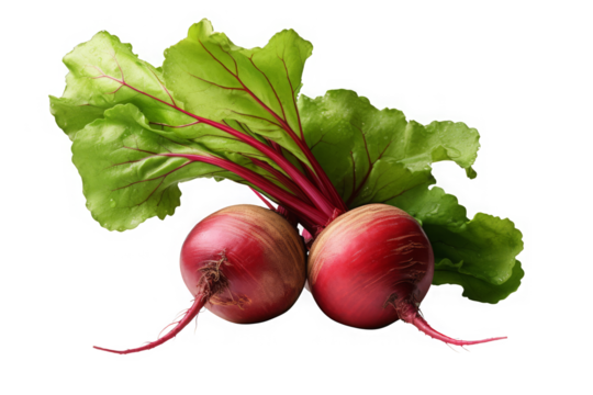Two red beets with green leaves isolated on transparent background. - Powered by Adobe