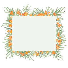 Sea buckthorn branch with orange berries. Branch with Fresh ripe berries and leaves. Hand drawn watercolor illustration isolated on white background. 