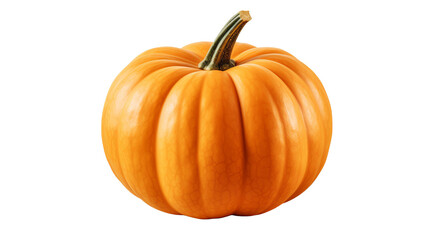 Obraz premium A studio shot of a pumpkin on a black background.