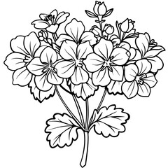 Geranium flower outline coloring book page line art drawing vector illustration for children and adults