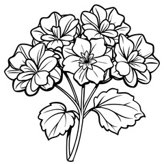 Geranium flower outline coloring book page line art drawing vector illustration for children and adults